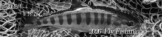 2026�N�t���C�t�B�b�V���O�ލs�L